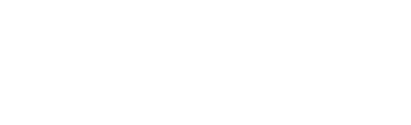 vida camara logo